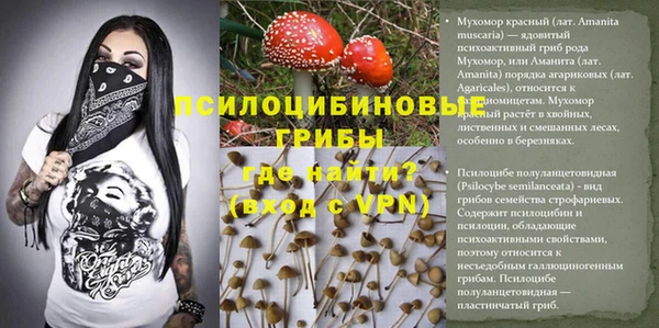 прущие грибы Балахна