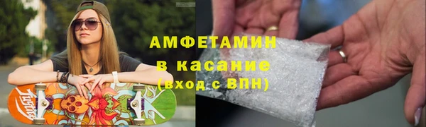 прущие грибы Балахна