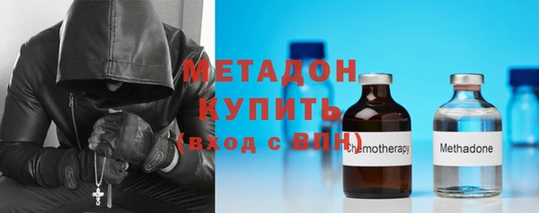 прущие грибы Балахна