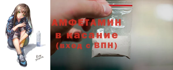 прущие грибы Балахна