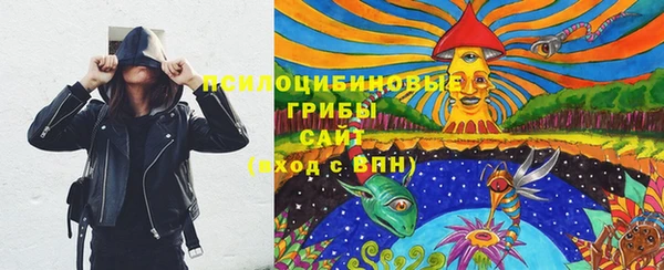 PSILOCYBIN Арсеньев