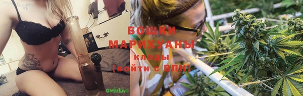прущие грибы Балахна