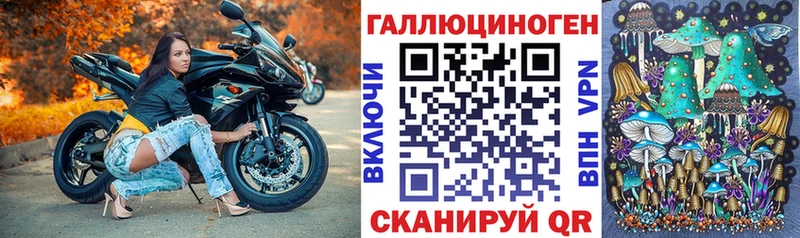 Галлюциногенные грибы MAGIC MUSHROOMS  где купить наркоту  Лебедянь 